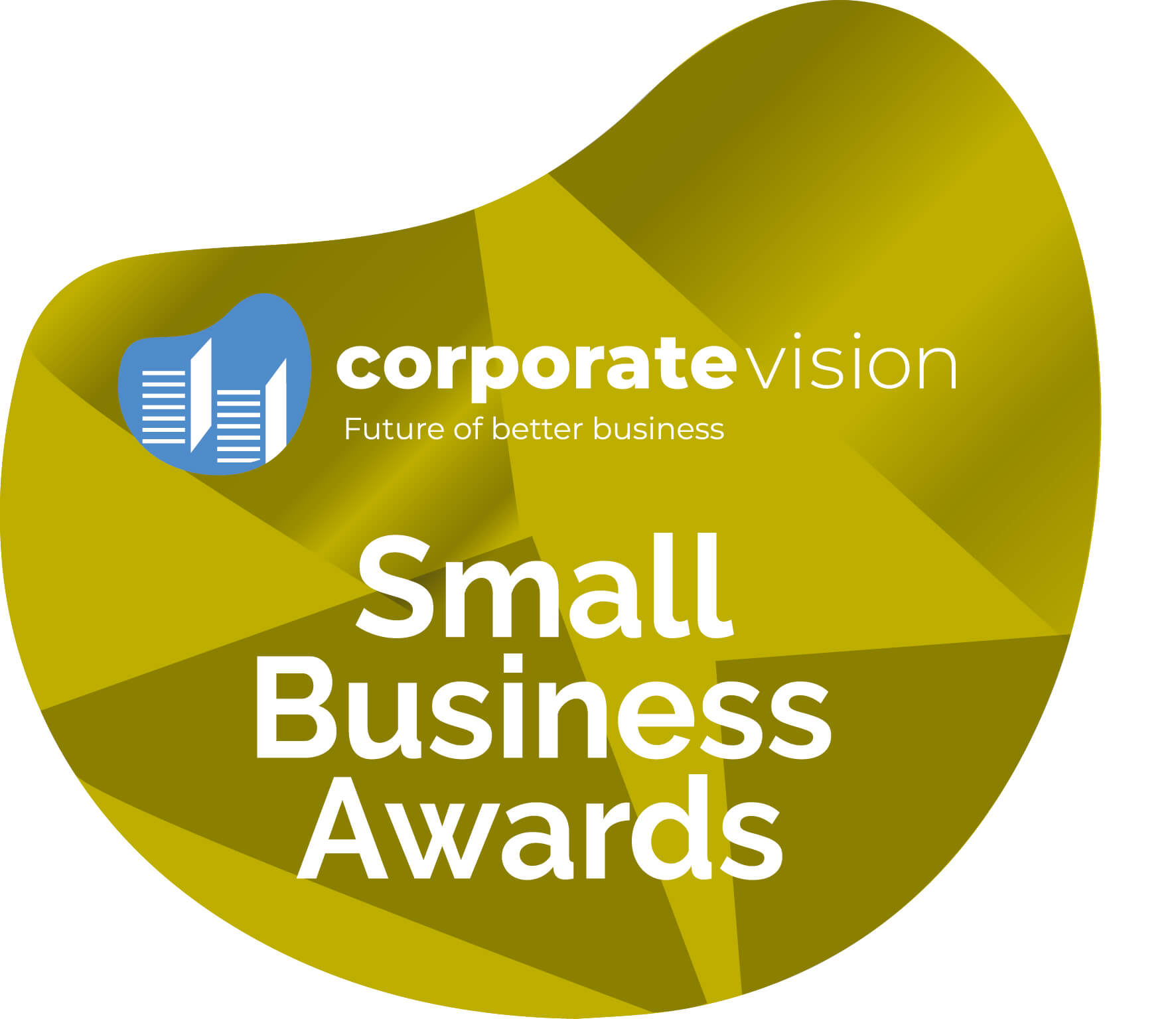 Small Business Awards Corporate Vision Magazine